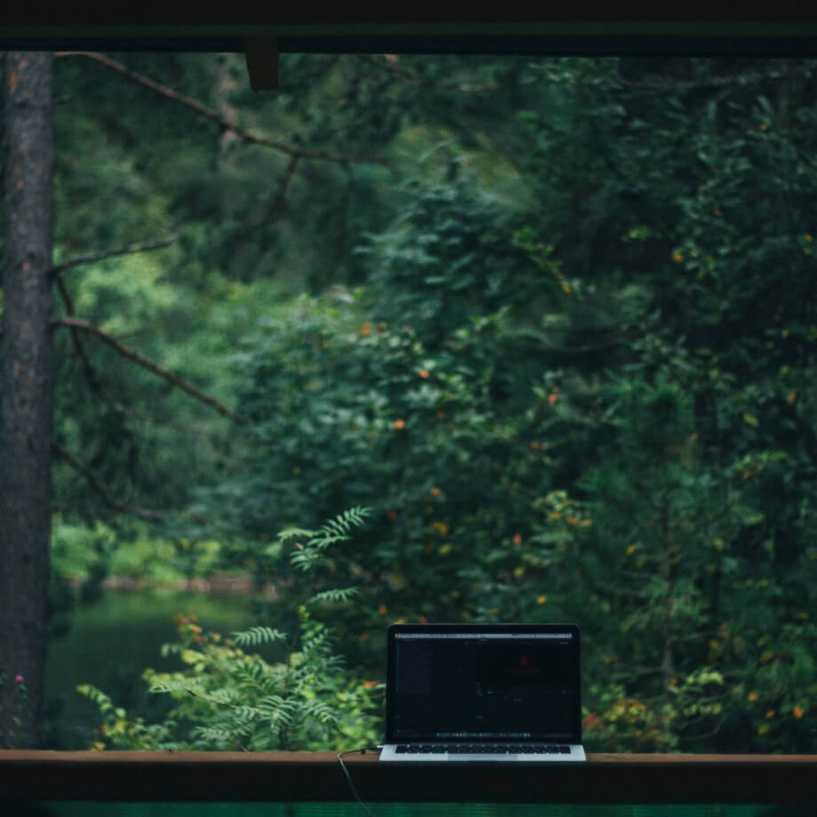 ноутбук, на фоне зеленой природы